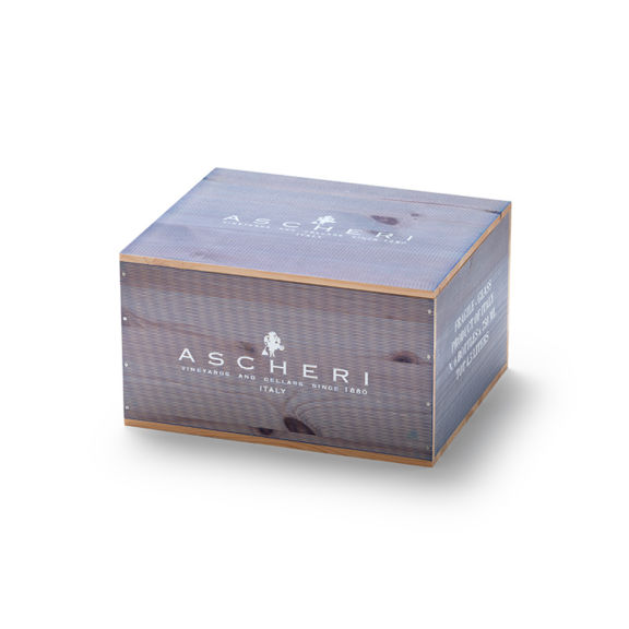 ASCHERI 5