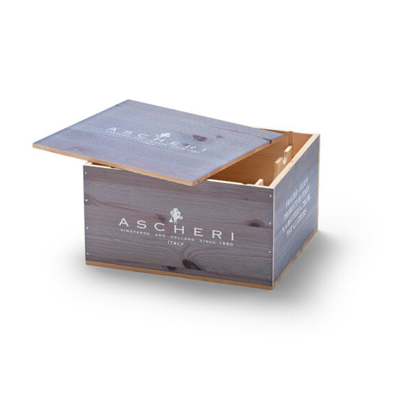 ASCHERI 6